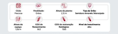 Tabela com informações técnicas como ciclo,  finalidade, altura da planta, tipo de grão, altura da espiga, gdu de florescimento, gdu de maturação fisiológica, nível de investimento sobre o hibrido B2817PWU  brevant.